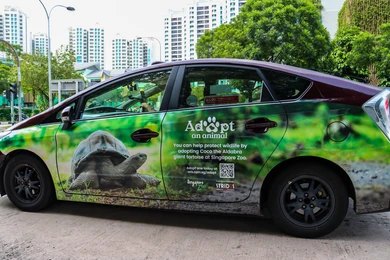 Vehicle Wraps